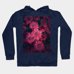 Top view cardinal chrysanthemums texture Hoodie